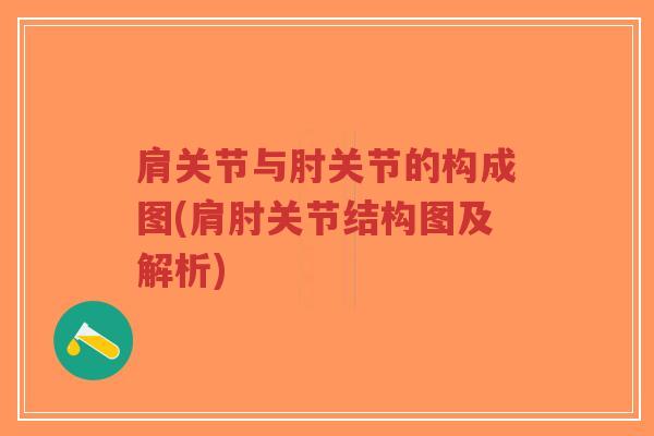 肩关节与肘关节的构成图(肩肘关节结构图及解析)
