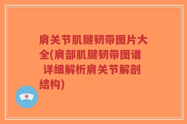肩关节肌腱韧带图片大全(肩部肌腱韧带图谱 详细解析肩关节解剖结构)