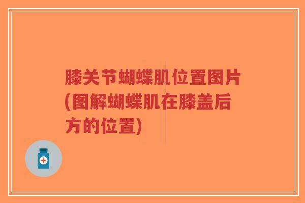 膝关节蝴蝶肌位置图片(图解蝴蝶肌在膝盖后方的位置) 膝关节蝴蝶肌位置图片(图解蝴蝶肌在膝盖后方的位置)