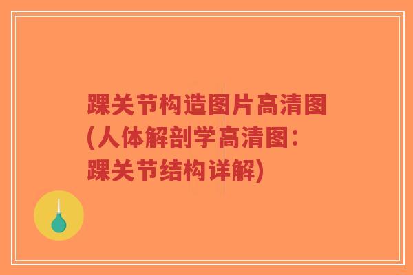 踝关节构造图片高清图(人体解剖学高清图:踝关节结构详解) 踝关节构造图片高清图(人体解剖学高清图:踝关节结构详解)