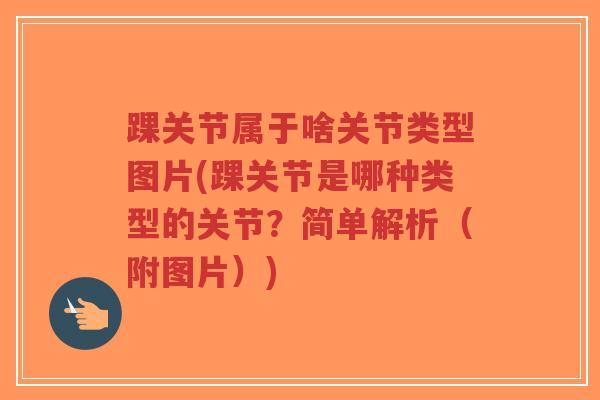 踝关节属于啥关节类型图片(踝关节是哪种类型的关节？简单解析（附图片）)
