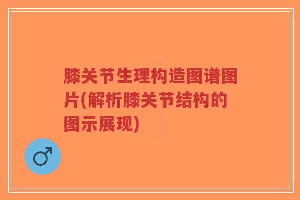 膝关节生理构造图谱图片(解析膝关节结构的图示展现)