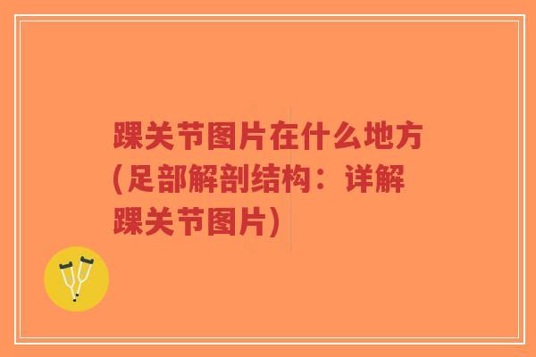 踝关节图片在什么地方(足部解剖结构:详解踝关节图片) 踝关节图片在什么地方(足部解剖结构:详解踝关节图片)