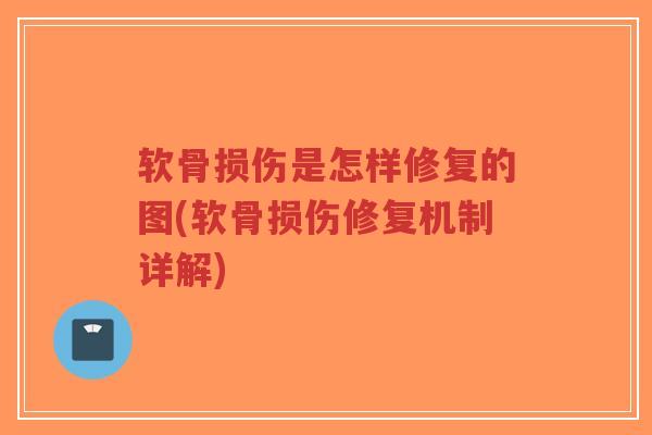 软骨损伤是怎样修复的图(软骨损伤修复机制详解) 软骨损伤是怎样修复的图(软骨损伤修复机制详解)