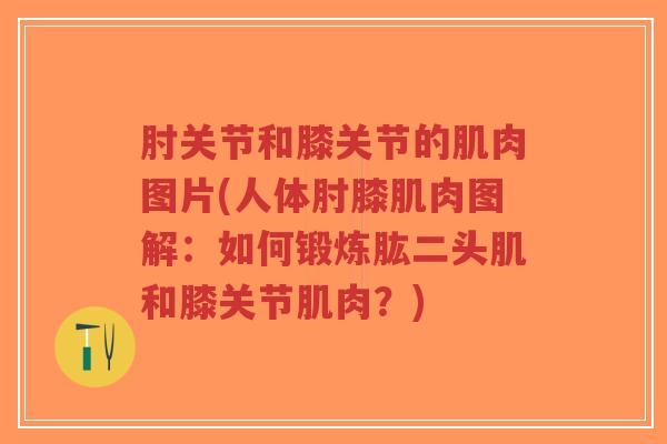 肘关节和膝关节的肌肉图片(人体肘膝肌肉图解:如何锻炼肱二头肌和膝关节肌肉?) 肘关节和膝关节的肌肉图片(人体肘膝肌肉图解:如何锻炼肱二头肌和膝关节肌肉?)