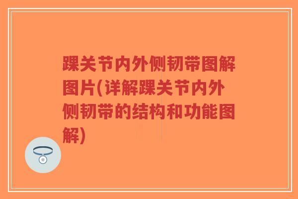 踝关节内外侧韧带图解图片(详解踝关节内外侧韧带的结构和功能图解) 踝关节内外侧韧带图解图片(详解踝关节内外侧韧带的结构和功能图解)