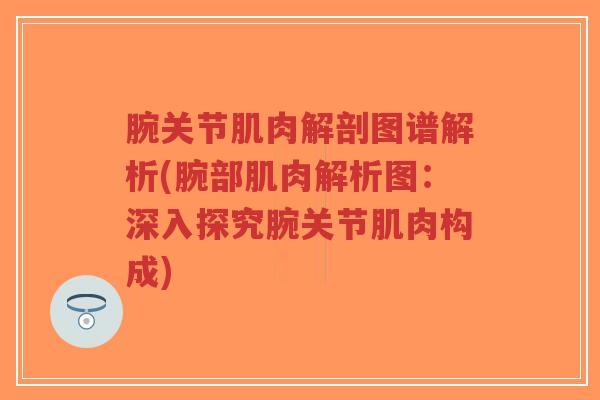 腕关节肌肉解剖图谱解析(腕部肌肉解析图：深入探究腕关节肌肉构成)