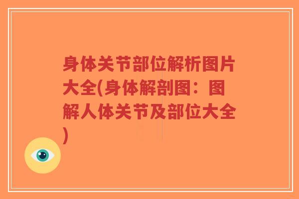身体关节部位解析图片大全(身体解剖图:图解人体关节及部位大全) 身体关节部位解析图片大全(身体解剖图:图解人体关节及部位大全)