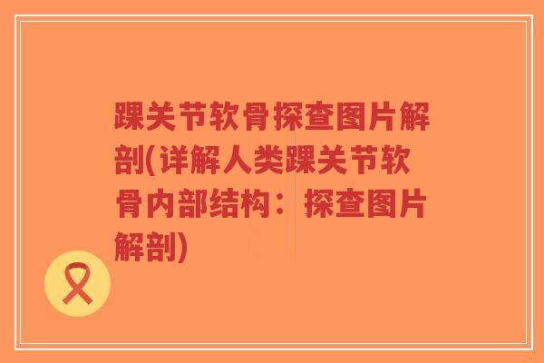 踝关节软骨探查图片解剖(详解人类踝关节软骨内部结构:探查图片解剖) 踝关节软骨探查图片解剖(详解人类踝关节软骨内部结构:探查图片解剖)
