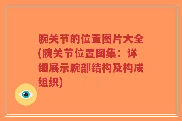 腕关节的位置图片大全(腕关节位置图集:详细展示腕部结构及构成组织) 腕关节的位置图片大全(腕关节位置图集:详细展示腕部结构及构成组织)
