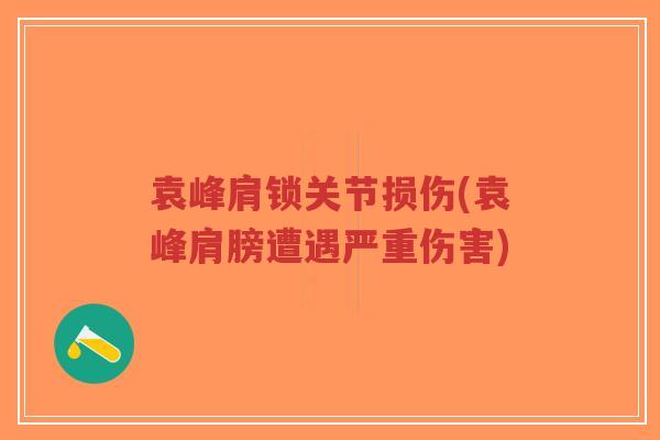 袁峰肩锁关节损伤(袁峰肩膀遭遇严重伤害) 袁峰肩锁关节损伤(袁峰肩膀遭遇严重伤害)