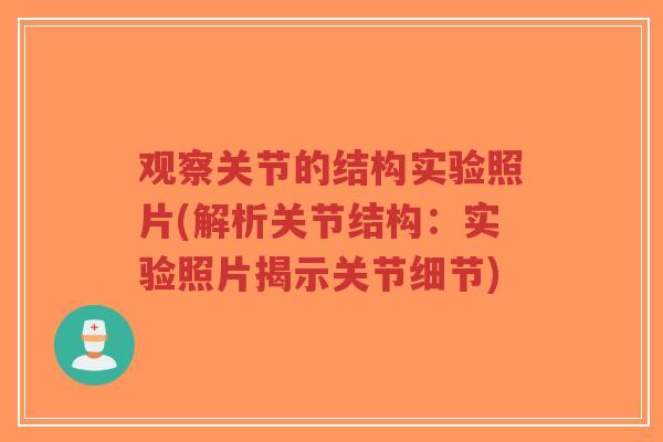 观察关节的结构实验照片(解析关节结构：实验照片揭示关节细节)