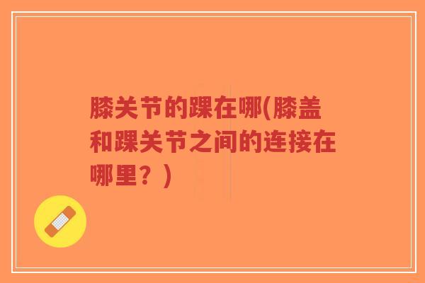 膝关节的踝在哪(膝盖和踝关节之间的连接在哪里？)