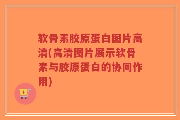软骨素胶原蛋白图片高清(高清图片展示软骨素与胶原蛋白的协同作用) 软骨素胶原蛋白图片高清(高清图片展示软骨素与胶原蛋白的协同作用)