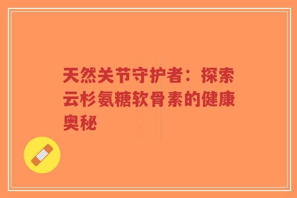 天然关节守护者:探索云杉氨糖软骨素的健康奥秘 天然关节守护者:探索云杉氨糖软骨素的健康奥秘