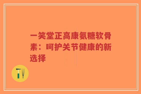 一笑堂正高康氨糖软骨素：呵护关节健康的新选择