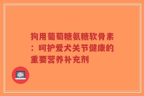 狗用葡萄糖氨糖软骨素：呵护爱犬关节健康的重要营养补充剂