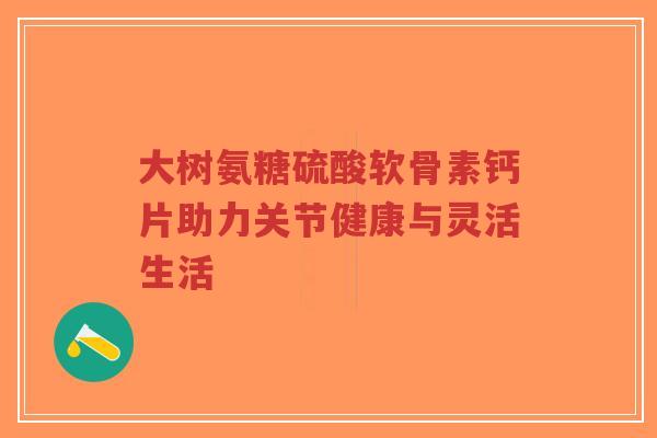 大树氨糖硫酸软骨素钙片助力关节健康与灵活生活