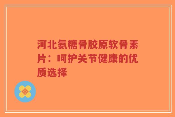 河北氨糖骨胶原软骨素片：呵护关节健康的优质选择