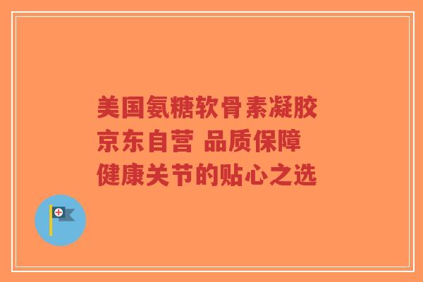 美国氨糖软骨素凝胶 京东自营 品质保障 健康关节的贴心之选