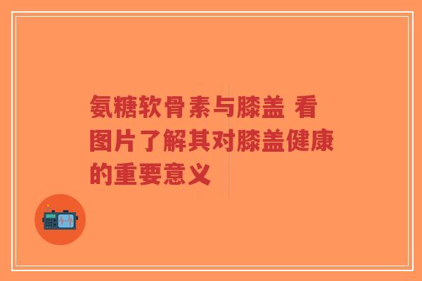 氨糖软骨素与膝盖 看图片了解其对膝盖健康的重要意义