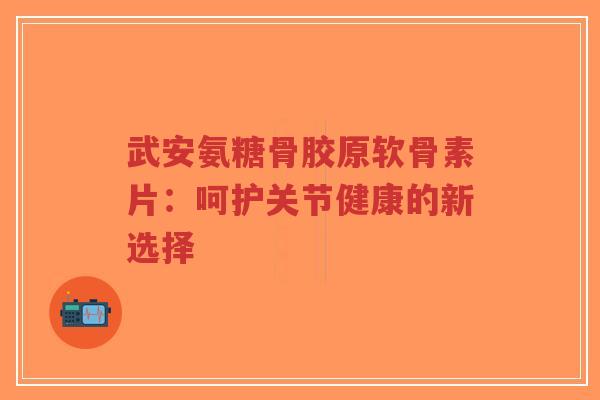 武安氨糖骨胶原软骨素片：呵护关节健康的新选择