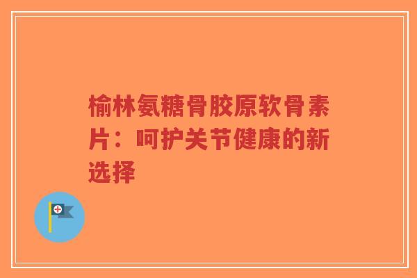 榆林氨糖骨胶原软骨素片：呵护关节健康的新选择