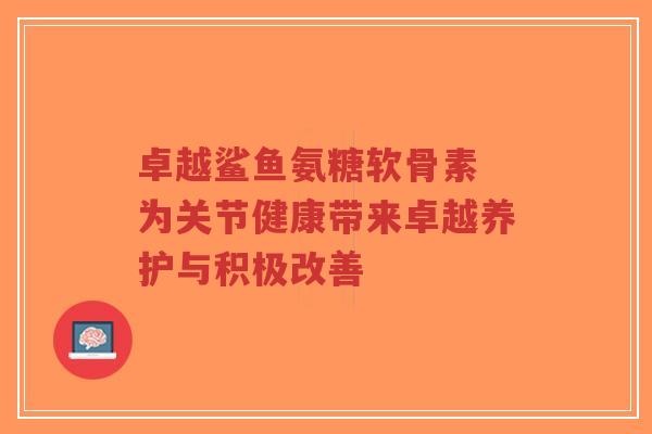 卓越鲨鱼氨糖软骨素 为关节健康带来卓越养护与积极改善