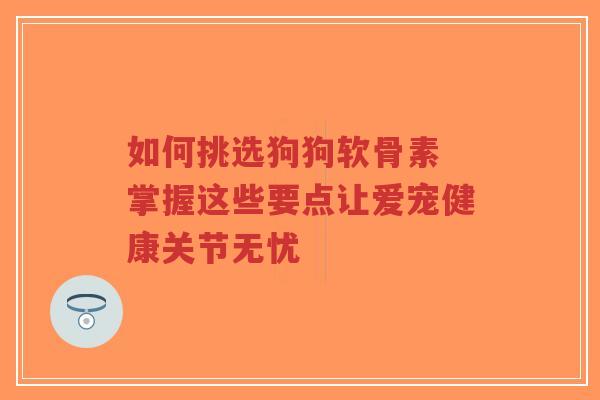 如何挑选狗狗软骨素 掌握这些要点让爱宠健康关节无忧