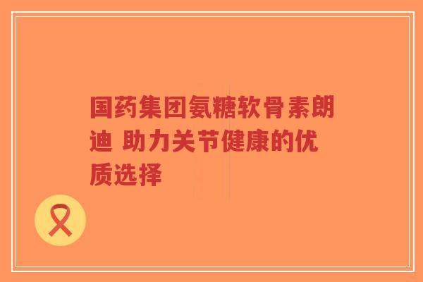国药集团氨糖软骨素朗迪 助力关节健康的优质选择