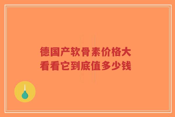 德国产软骨素价格大 看看它到底值多少钱