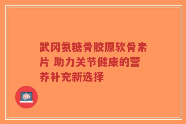 武冈氨糖骨胶原软骨素片 助力关节健康的营养补充新选择