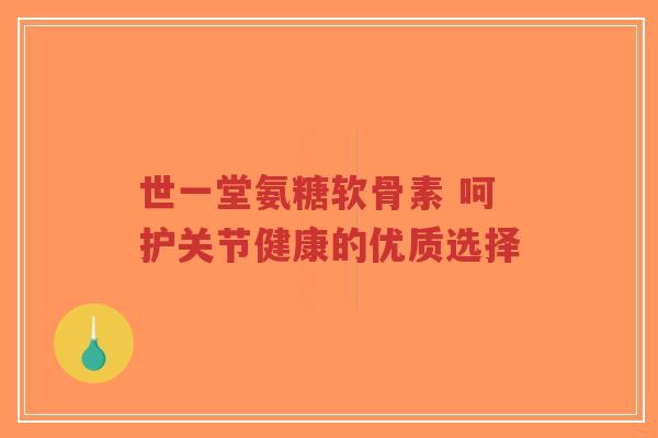 世一堂氨糖软骨素 呵护关节健康的优质选择