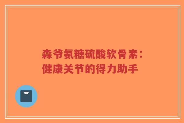 森爷氨糖硫酸软骨素：健康关节的得力助手