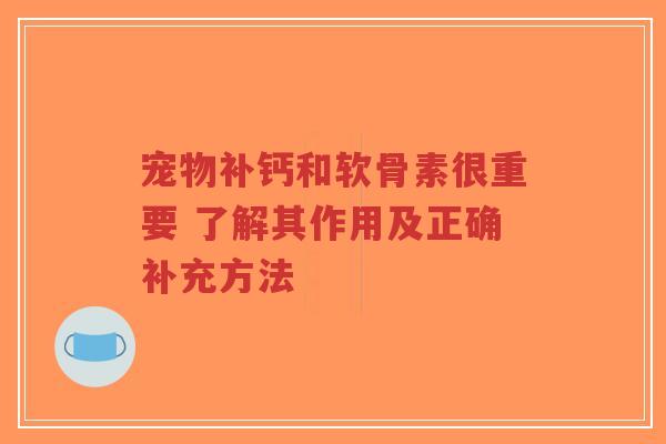 宠物补钙和软骨素很重要 了解其作用及正确补充方法