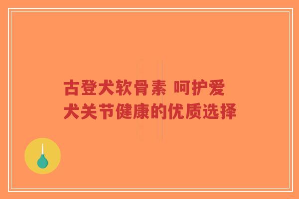 古登犬软骨素 呵护爱犬关节健康的优质选择