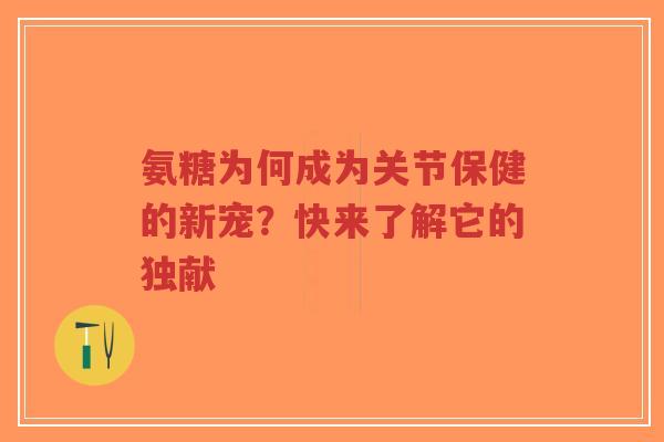 氨糖为何成为关节保健的新宠？快来了解它的独献