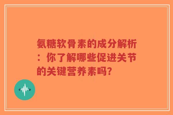 氨糖软骨素的成分解析：你了解哪些促进关节的关键营养素吗？