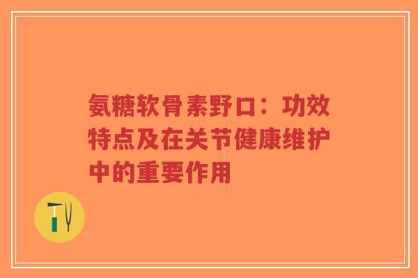 氨糖软骨素野口：功效特点及在关节健康维护中的重要作用