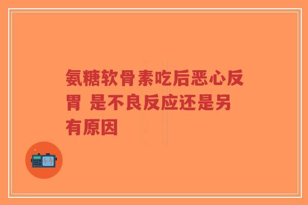 氨糖软骨素吃后恶心反胃 是不良反应还是另有原因
