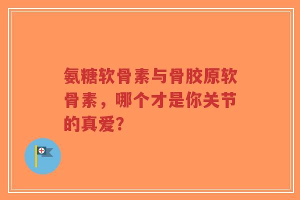 氨糖软骨素与骨胶原软骨素，哪个才是你关节的真爱？