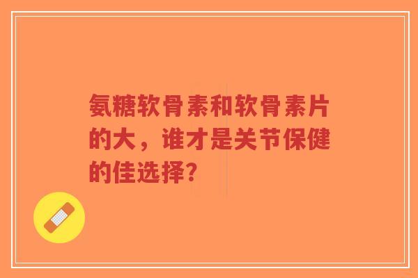 氨糖软骨素和软骨素片的大，谁才是关节保健的佳选择？