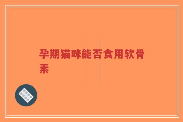 孕期猫咪能否食用软骨素