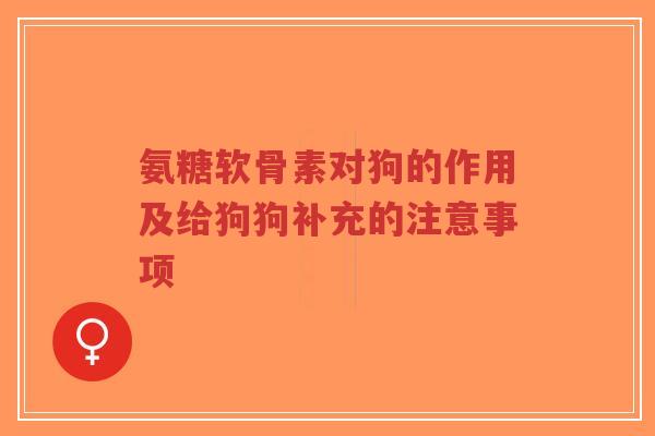 氨糖软骨素对狗的作用及给狗狗补充的注意事项