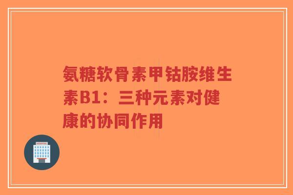 氨糖软骨素甲钴胺维生素B1：三种元素对健康的协同作用
