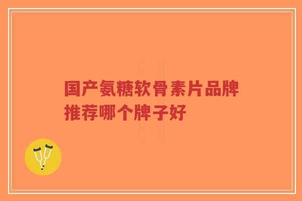 国产氨糖软骨素片品牌推荐哪个牌子好 国产氨糖软骨素片品牌推荐哪个牌子好