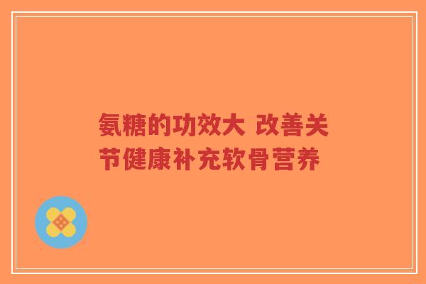 氨糖的功效大 改善关节健康补充软骨营养