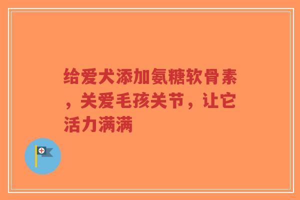 给爱犬添加氨糖软骨素，关爱毛孩关节，让它活力满满