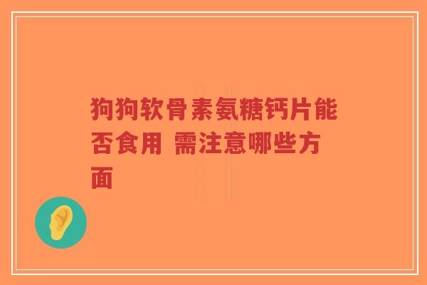 狗狗软骨素氨糖钙片能否食用 需注意哪些方面