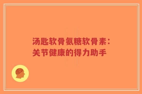 汤匙软骨氨糖软骨素：关节健康的得力助手